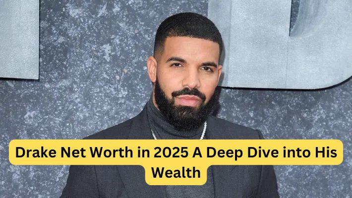 Drake Net Worth in 2025 A Deep Dive into His Wealth