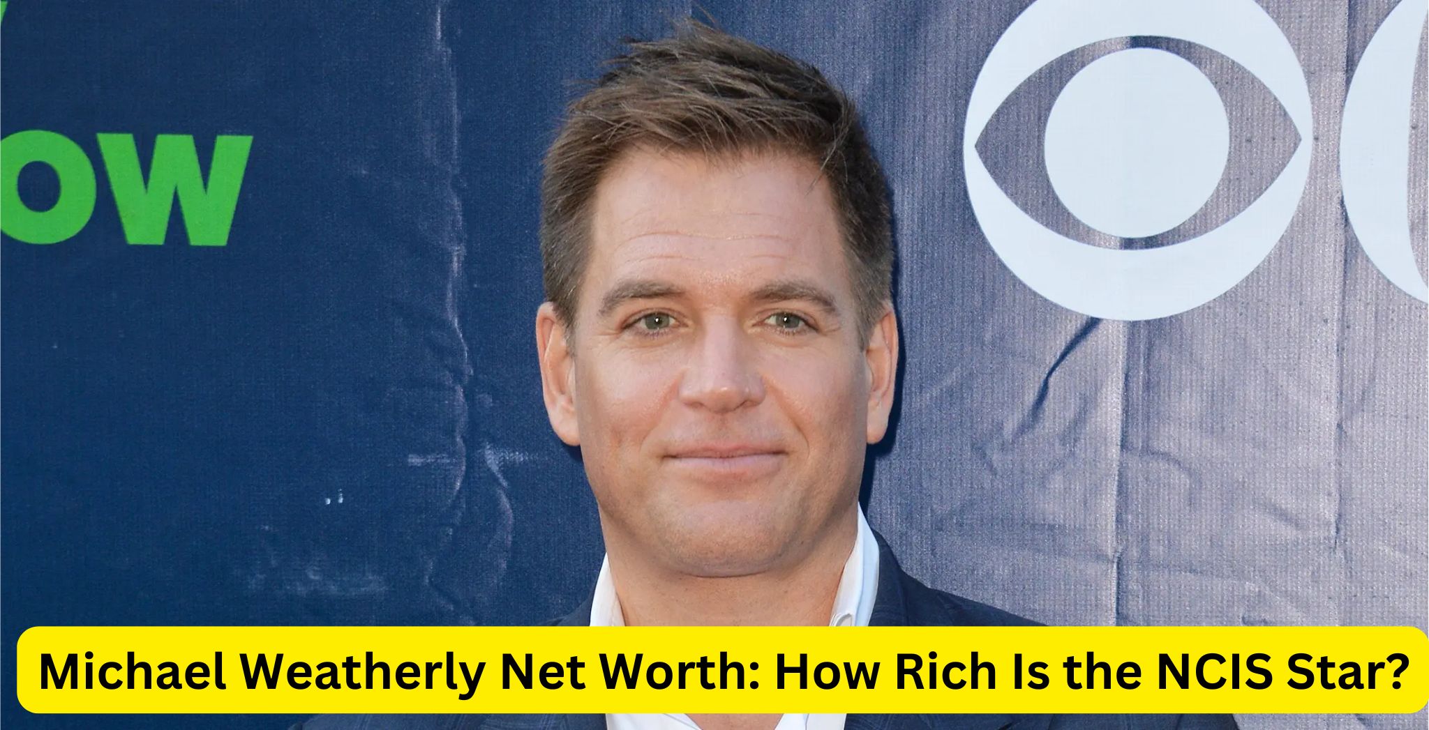 Michael Weatherly Net Worth: How Rich Is the NCIS Star?